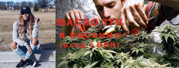 индика Бронницы