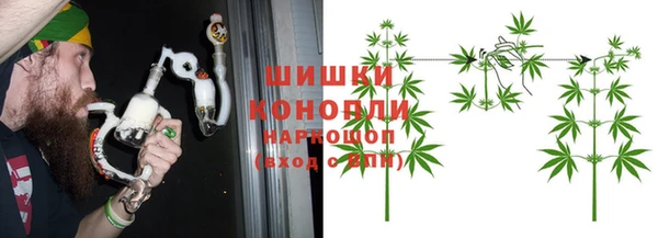 индика Бронницы