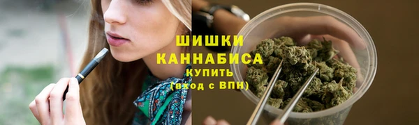 прущие грибы Бугульма