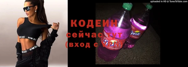 индика Бронницы
