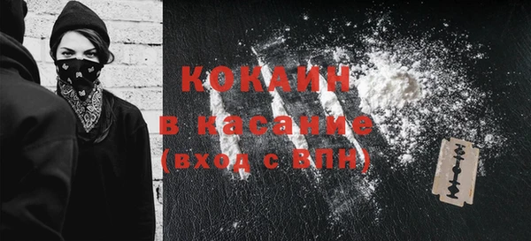 индика Бронницы