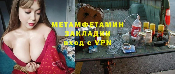 прущие грибы Бугульма