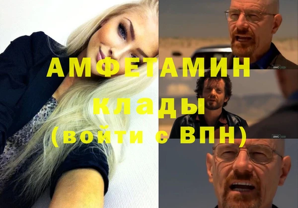 прущие грибы Бугульма