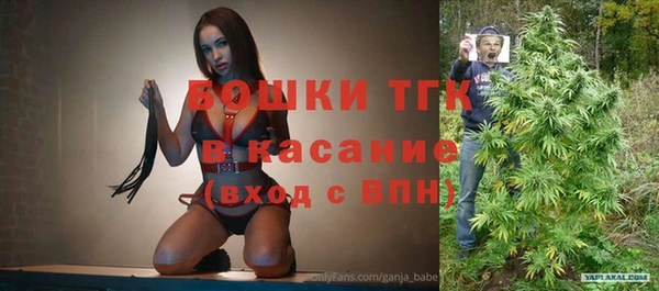 экстази Бородино