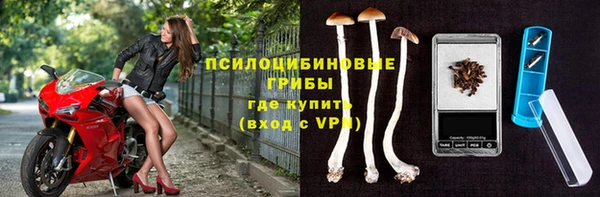 хмурый Богданович