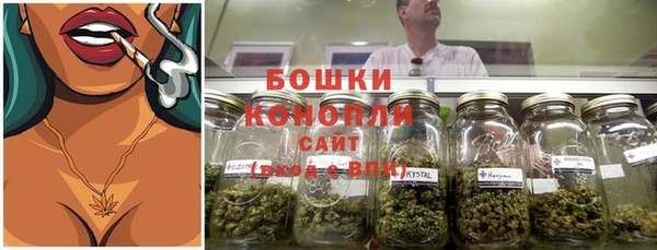 прущие грибы Бугульма