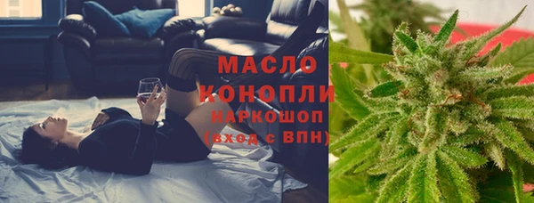 индика Бронницы
