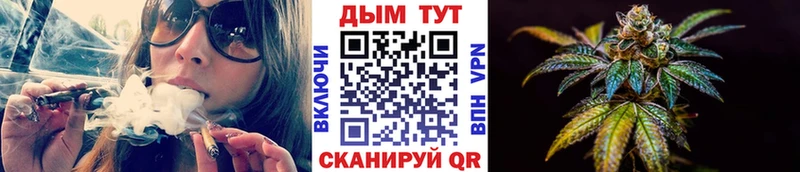 Бошки марихуана сатива  как найти закладки  Заволжье 